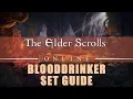 Elder Scrolls Online Blooddrinker Set Build Guide