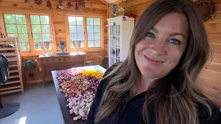 How to Dry Hydrangeas Pumpkin Update Homemade Tomato Soup