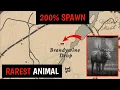 Proper Way To Find Rarest Bull Moose In Minutes - RDR2