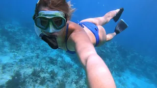 Swimming With DOLPHINS and GOLIATH GROUPER, Close Calls With LIGHTNING S2E19