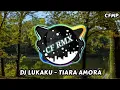 Lagu DJ Lukaku New Versi ( Tiara Amora ) Slow Remixduth by CF RMX