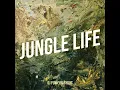 Download Lagu Jungle Life (hard tek jungle)#music #remix #dj #housemusic #dance #dancer #techno