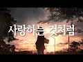 Download Lagu 사랑하는 것처럼(愛するように) - Kotoha/MIMI 일본어 한국어 가사