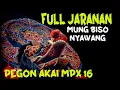 Download Lagu Mung Biso Nyawang full Jaranan pegon AKAI MPX 16