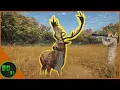 Hirschfelden Is Actually Good Now Call Of The Wild
