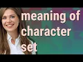Character set meaning of Character set