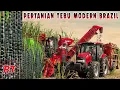 Download Lagu Pertanian Tebu Modern Terbesar di Brazil Untuk Membuat Bahan Bakar Ethanol