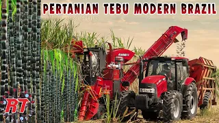 Download Brazil's Largest Modern Sugarcane Farm To Make Ethanol Fuel MP3