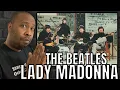 Download Lagu First Time Hearing | The Beatles - Lady Madonna Reaction