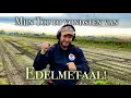 Download Lagu Mijn TOP 10 Vondsten van EDELMETAAL! | Kostbare Herinneringen | Metaaldetectie