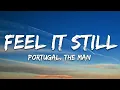 Download Lagu Portugal. The Man - Feel It Still (Lyrics)