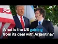 Milei visits Trump after 20B bailout What does it mean for Argentina s economy DW News
