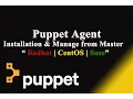 Puppet Enterprise 5 1 - Puppet Agent Installation and Add Node Into Mater-Redhat CentOS OEL Linux