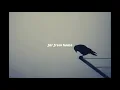 Download Lagu ｆａｒ　ｆｒｏｍ　ｈｏｍｅ　（ｔｈｅ　ｒａｖｅｎ）　|　ｓｌｏｗｅｄ　ｄｏｗｎ