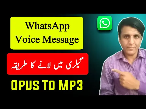 Download MP3 Opus to mp3 converter | WhatsApp voice message ko save kaise kare | how to convert opus file to mp3