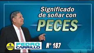 No 187 THE MEANING OF DREAMING ABOUT FISH Pastor Pedro Carrillo