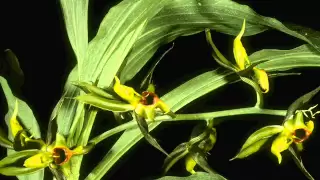 القصيدة الرائعه والمقبوله فى مدح الرسول محمد البراك 