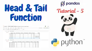 Head and Tail Functions Python Pandas Tutorial - 5