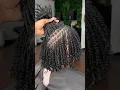 Starter Locs Diamond Shape Two Strand Twists Small Parts Dakayla Chantell