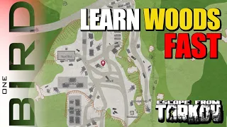 Learn WOODS FAST Map Guide with Loot Locations Spawns Exits Escape from Tarkov