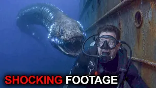 Diver Captured Something Massive Hiding Underwater; You Won't Believe What Happened !