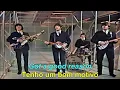Lagu The Beatles 1966 Day Tripper (Letra/Tradução)