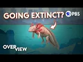 Can We Save Mexico City s Famous Axolotls