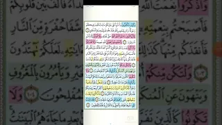 تثبيت وتربيط ربع كل الطعام سورة آل عمران 