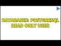 Databases PostgreSQL read only user