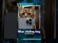 Download Lagu nada dering kucing v10