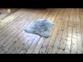 2x3 New Angora Throw Rug ee001697