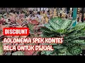 Download Lagu AGLO JUARA BOLEH DIPINANG ASAL HARGA PAS