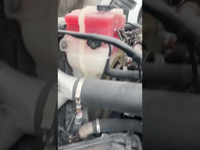 View Video