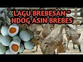 Download Lagu LAGU BREBESAN [NDOG ASIN BREBES]
