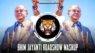 bhim jayanti 2025 roadshow mashup bsk brothers instagram trending ahmeadpurwala unreleased
