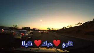 Galbi Brak Ntiyaa Cheb Mami Statu Whatsapp قلبي بغاك نتيا الشاب مامي اجمل اغاني راي حالات واتساب 