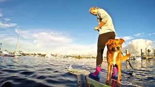 people race paddleboards?