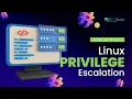 TryHackMe Linux PrivEsc THM walkthrough Nexix Security Labs