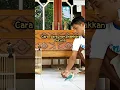 Download Lagu burung burung jinak ‼️#menjinakanburung #burungkutilangjinak #burunglovebirdjinak