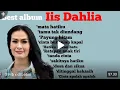 Lagu Lagu pilihan terbaik IIS DAHLIA | MATA HATIKU🍂
