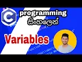 variables in C language - in sinhala Using Variables in C Programming in Sinhala Lk