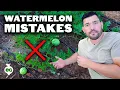 Download Lagu 6 Watermelon Growing Mistakes To Avoid 🍉
