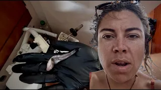 “I Left My Boat for 2 Months… Here’s What I Came Back To WHSE176