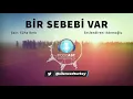 Bir Sebebi Var - Süha Berk (Şiir)