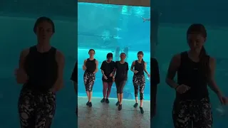 رقص لانا ولين مع بسمله وساره مهند لانا محمد ساره مهند لين محمد بسمله Shorts Youtube 