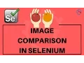 3 Image Comparison In Selenium Using AShot