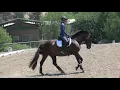 Training Level Test 2