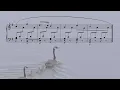 Schumann: Kinderszenen Op.15 No.1 (music score video) | Tiffany Poon