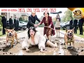 Download Lagu Son Brings First Love Home, Smart Mother-in-Law Punishes Scheming Mistress Who Stole Husband