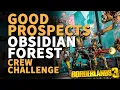 Obsidian Forest Good Prospects Borderlands 3 Location